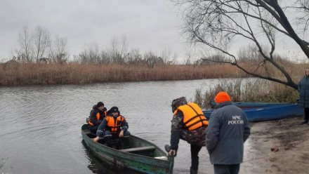 Пропавшего без вести 62-летнего воронежца нашли мёртвым в Усманке