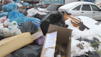 Город в мусорном плену. Почему воронежские дворы превратились в стихийные свалки