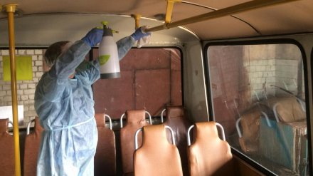 В Воронеже из-за угрозы коронавируса начали дезинфицировать салоны маршруток