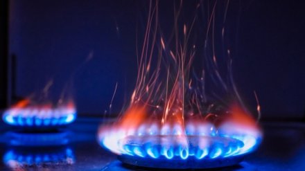 В Воронежской области отец и 9-летняя дочь отравились угарным газом