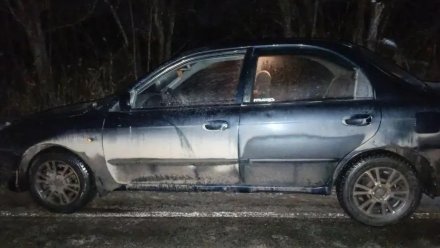 В Бутурлиновском районе Kia переехала лежащего на земле пешехода