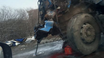 В столкновении двух КамАЗов под Воронежем пострадал пожилой мужчина