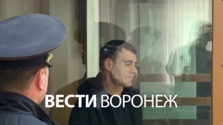 Мужчину отправили в колонию за осквернение братской могилы у памятника Славы в Воронеже