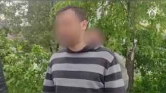 СК показал видео с домогавшимся до школьниц воронежским педофилом