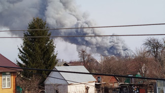 Пожар в воронежском Шилово полностью потушили