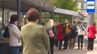 Расписание и штрафы. Как в Воронеже будут улучшать работу общественного транспорта