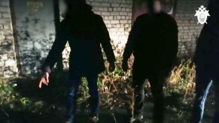 Двоих парней приговорили к 17 годам тюрьмы за попытку теракта в Воронежской области