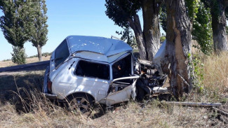 В Воронежской области «Нива» врезалась в дерево: водитель погиб