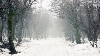 Штормовое предупреждение из-за 15-градусных морозов объявили в Воронеже