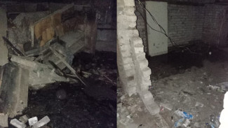 Затопленный щиток и мошки. Родители пожаловались на состояние подвала детсада в Воронеже
