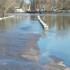 Десятки участков, два дома и мост ушли под воду в Воронежской области из-за потепления