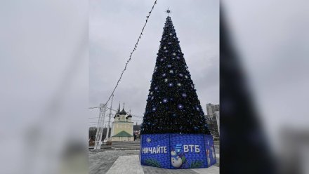 Воронеж украсила новогодняя ёлка от ВТБ 