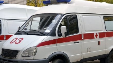 В Воронежской области погиб водитель вылетевшей в кювет машины