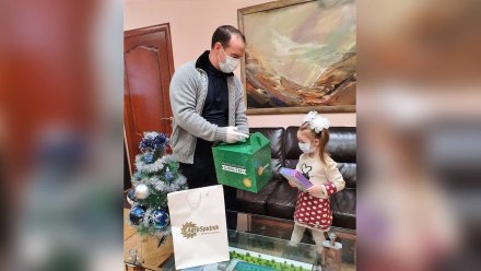«Ёлка желаний» помогла исполнить мечту четырёхлетней малышки из Богучарского района