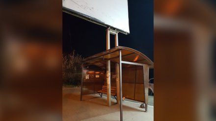 В Воронеже вокруг рекламного щита соорудили автобусную остановку