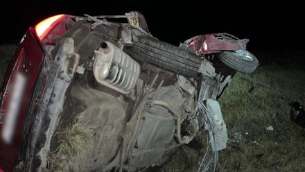 В Воронежской области водитель Kia врезался в опору ЛЭП и погиб 