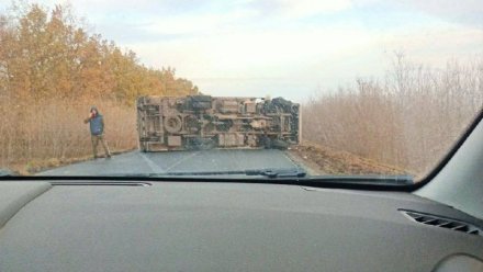 Перевернувшаяся фура перекрыла трассу в Воронежской области