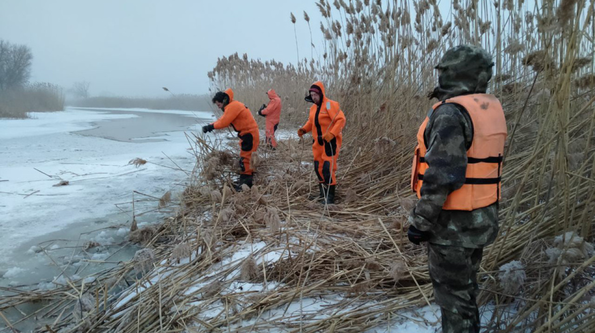 Столичные водолазы спустя месяц возобновят поиски утонувшего воронежского  ребёнка – Новости Воронежа и Воронежской области – Вести Воронеж