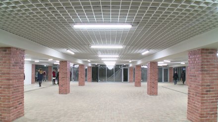 Воронежцев возмутило отсутствие перил и подъёмников в обновлённом переходе у Цирка