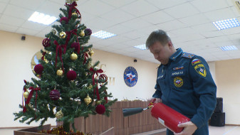 Спасатели дали советы воронежцам, как потушить загоревшуюся ёлку