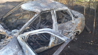 На воронежской трассе в сгоревшем ВАЗе нашли труп неизвестного водителя