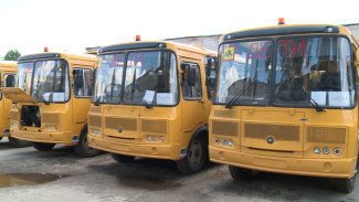 В Воронежскую область поступило 20 новых школьных автобусов