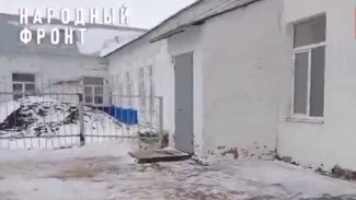 Воронежцы пожаловались на холод и плесень в 100-летней школе в Малышево