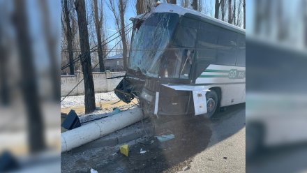 В Воронеже автобус на скорости протаранил столб