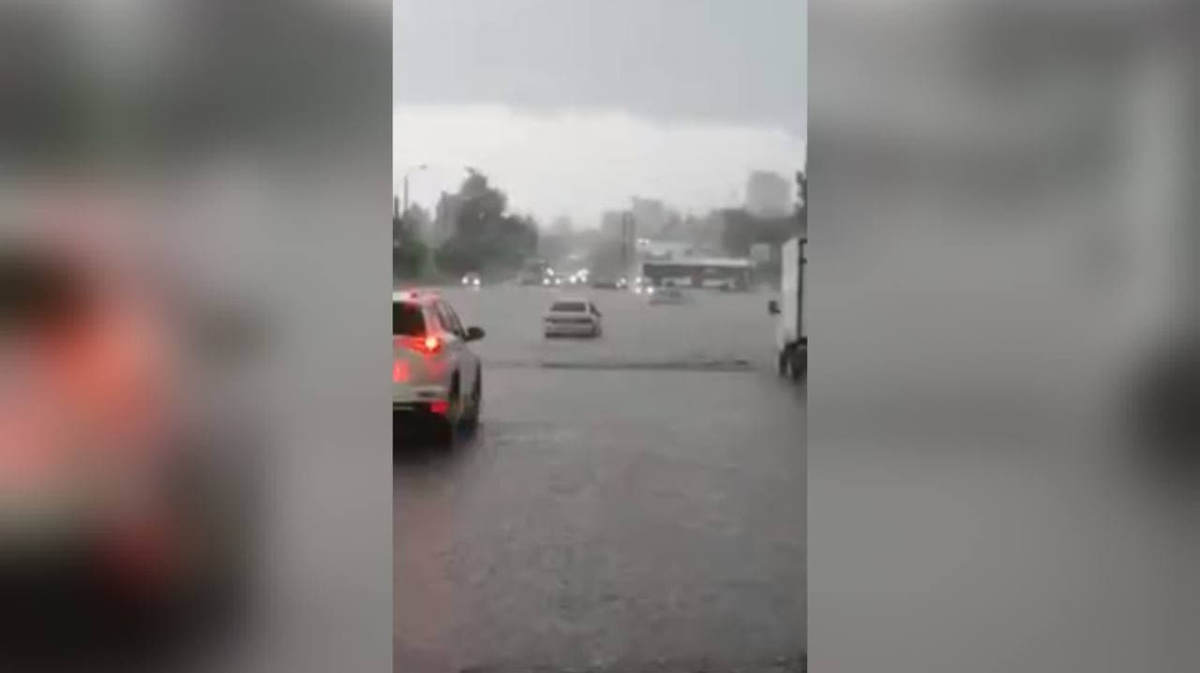 Вода по пояс и тонущие машины. В Воронеже затопило район Центрального парка  – Новости Воронежа и Воронежской области – Вести Воронеж