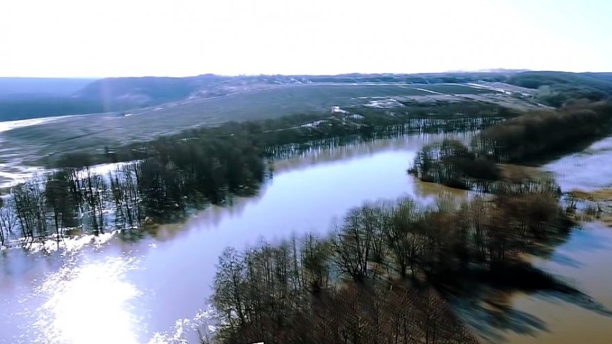 В двух реках Воронежской области уровень воды повысился почти на метр