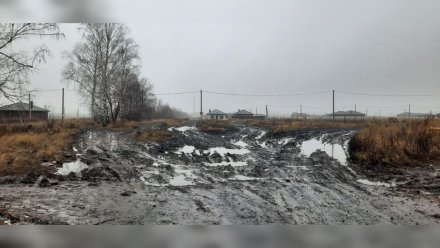 Жителей воронежского села оставили без ремонта непроходимых дорог в 2025 году