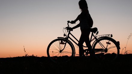 В Воронежской области серийный вор украл у собственной дочери велосипед BMW