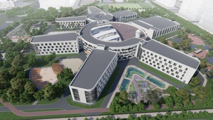 ФАС признала частично обоснованной жалобу на торги по строительству в Воронеже мегашколы