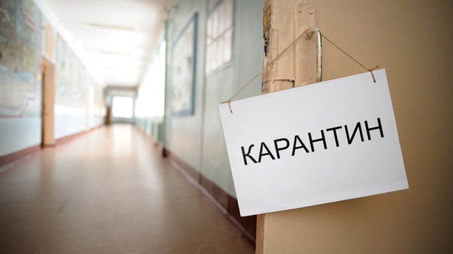 В мэрии Воронежа рассказали, будут ли закрывать школы на карантин из-за гриппа
