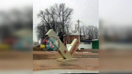 В Воронежской области ветер сдул «сердце» Боброва стоимостью 90 тысяч