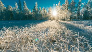 На короткой рабочей неделе в Воронежской области может похолодать до – 25