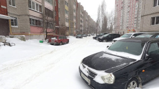 Воронеж завалит снегом в выходные