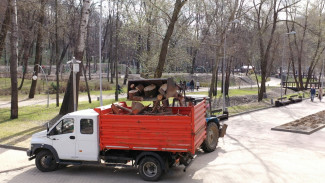 Высадили 500 деревьев и вывезли сотни грузовиков мусора. Как в Воронеже прошёл субботник