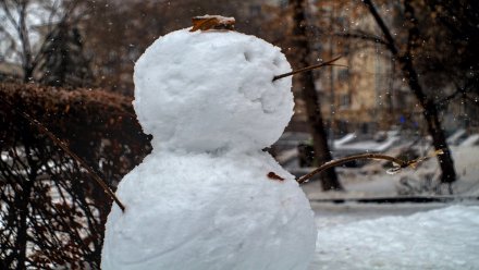 Температура в Воронежской области опустится до нуля в выходные