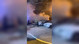 В Воронеже за ночь сгорело четыре машины