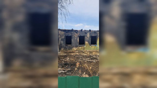 Воронежский СК проведёт проверку после гибели двух сестёр при пожаре