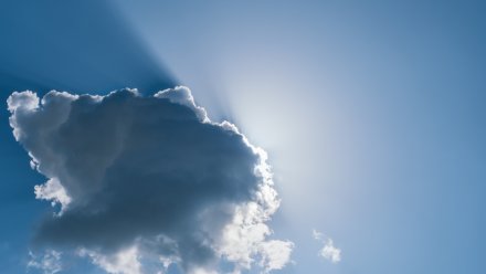 Похолодание до +5 градусов спрогнозировали в Воронежской области