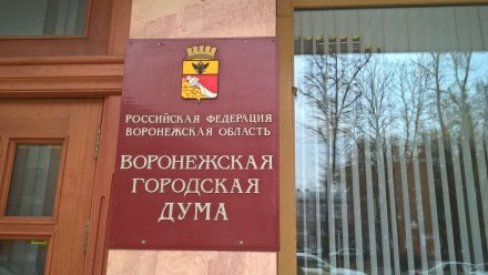 Гордума получила ещё два заявления от потенциальных мэров Воронежа