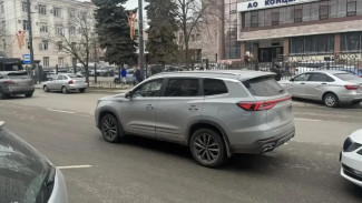 Дедушку сбили насмерть на Пушкинской в Воронеже