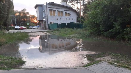 В воронежском парке Оптимистов разлилась пахнущая сероводородом река