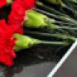 Под Воронежем на месте гибели малыша при атаке ВСУ создали стихийный мемориал