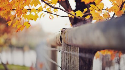 Прогноз погоды на 19.09.18