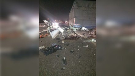 В ДТП с грузовиком под Воронежем погибли двое взрослых и пострадали двое детей