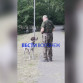 Воронежцы возмутились бездействием МВД после нападения курцхаара в Центральном парке