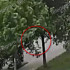 Электросамокатчик сбил 4-летнюю девочку на улице Шишкова в Воронеже